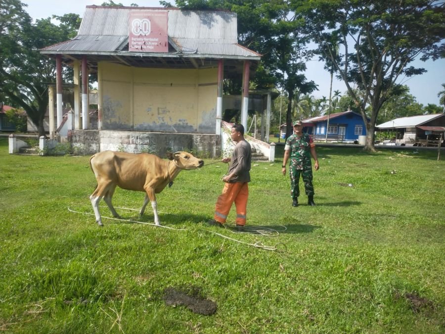 Babinsa Koramil 06/Merbau Cek Hewan Ternak Warga, Tidak Ditemukan PMK