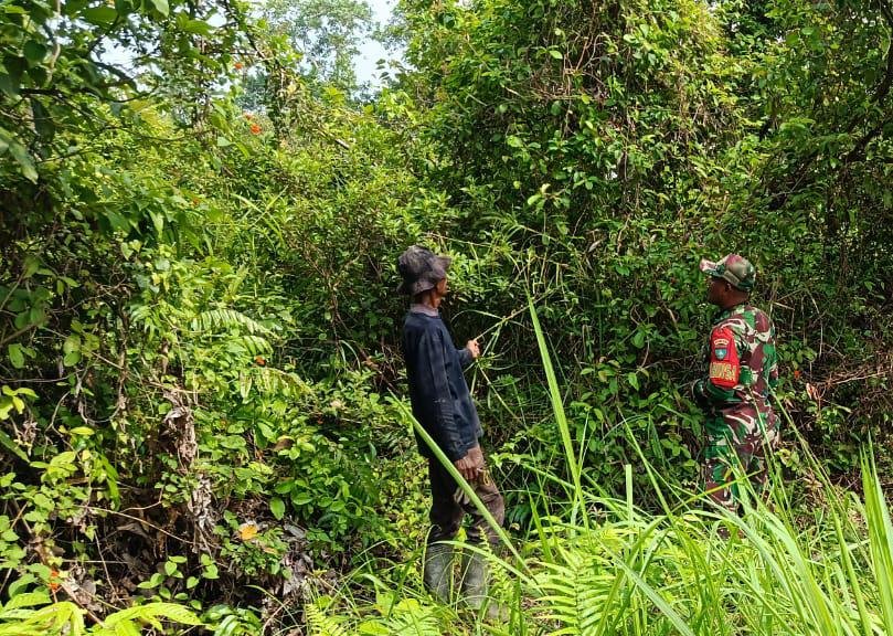 Babinsa Koramil 06/Merbau Intensif Patroli Karhutla, Pastikan Wilayah Tetap Aman dari Kebakaran