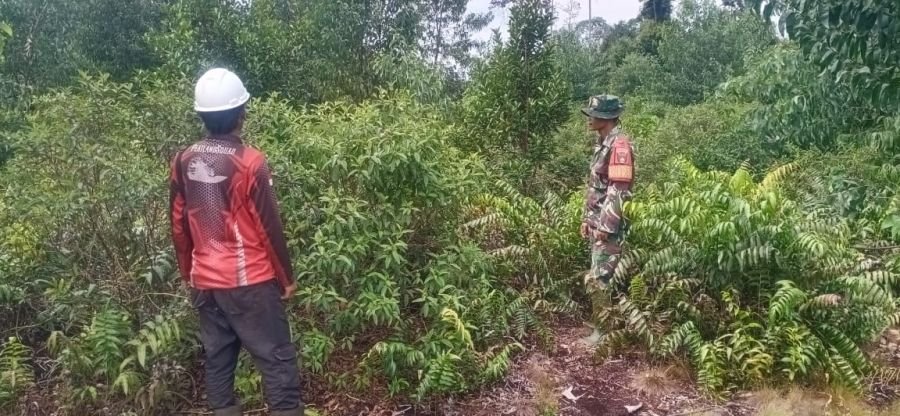 Babinsa Koramil 06/Merbau Intensifkan Patroli Karhutla di Lahan Gambut Desa Lukit