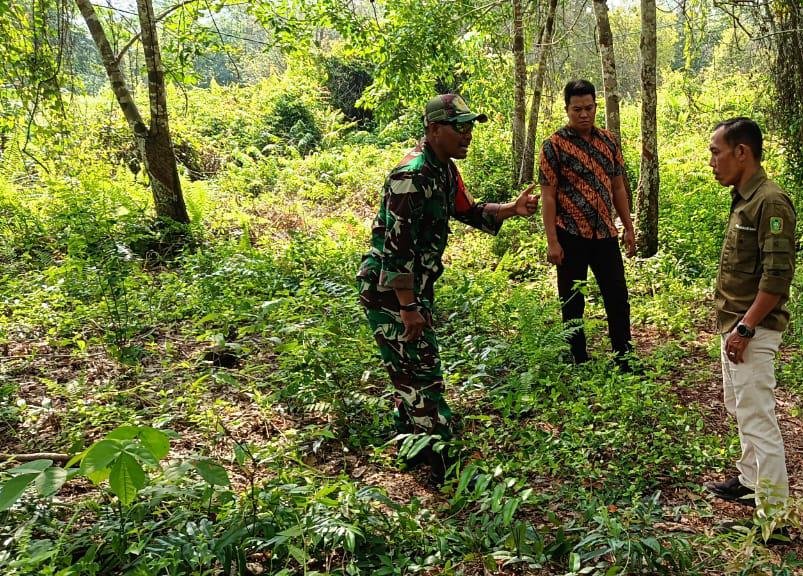 Babinsa Koramil 06/Merbau Intensifkan Patroli Karhutla di Desa Mekar Sari, Tidak Ditemukan Titik Api