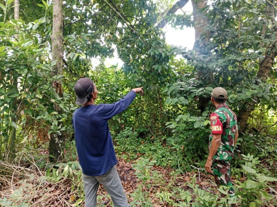 Babinsa Koramil 06/Merbau Intensifkan Patroli Karhutla di Desa Mengkopot