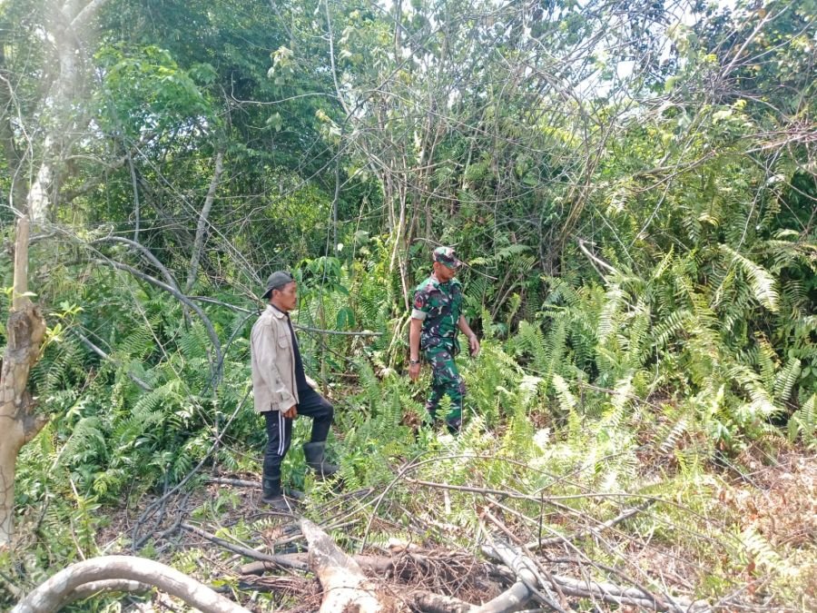 Babinsa Koramil 06/Merbau Patroli Karhutla di Lahan Gambut Desa Mengkirau