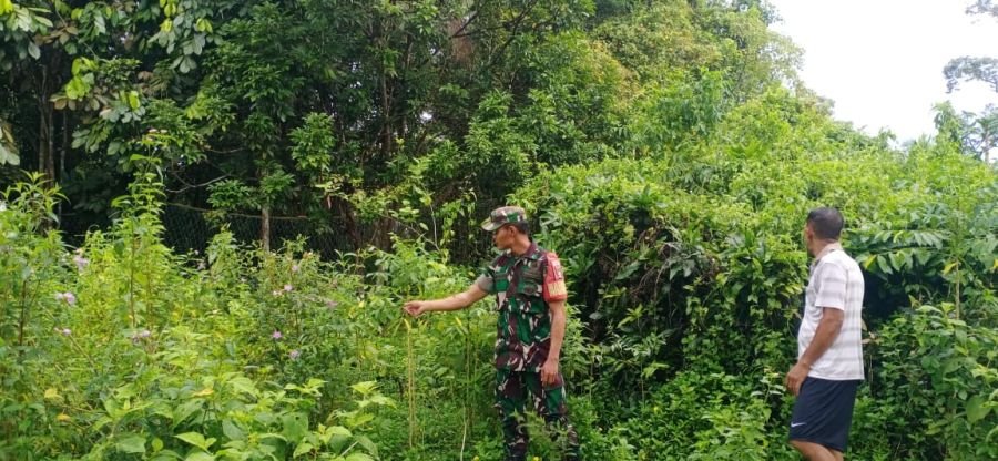 Babinsa Koramil 06/Merbau Patroli Karhutla di Desa Lukit, Pastikan Wilayah Tetap Aman dari Kebakaran