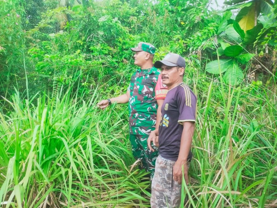 Babinsa Koramil 06/Merbau Sisir Lahan Gambut Semukut, Pastikan Wilayah Bebas Titik Api