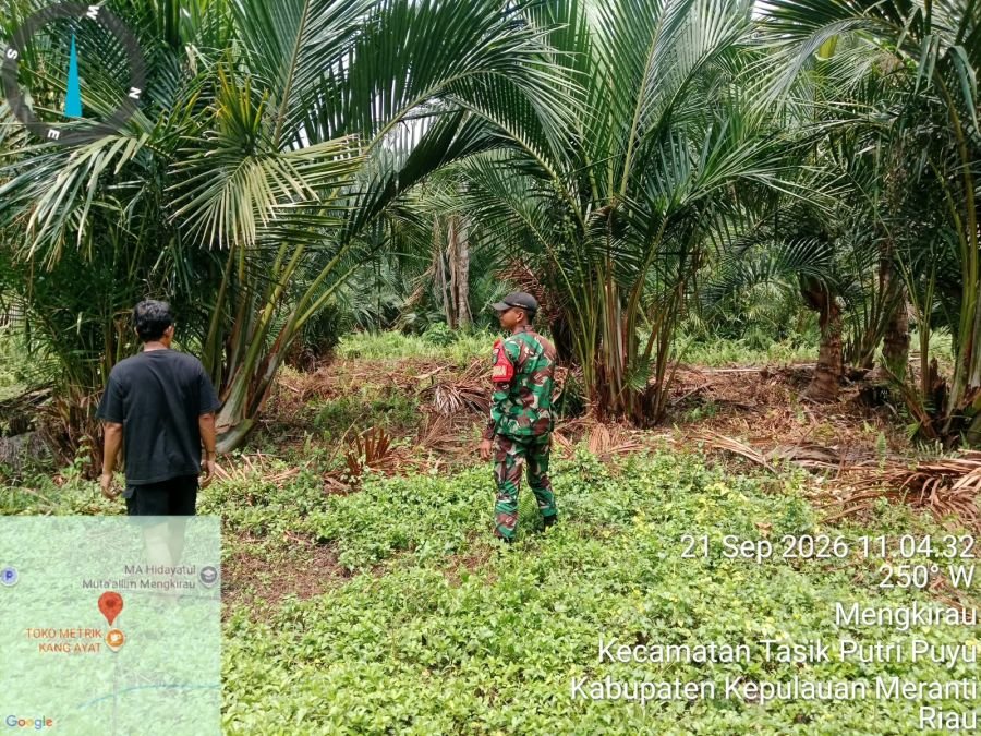 Babinsa Koramil 06/Merbau Sisir Lahan Gambut di Mengkirau
