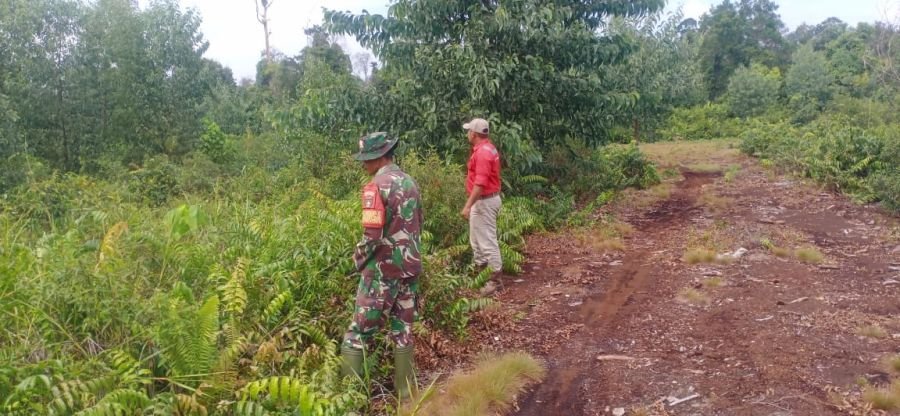 Babinsa Koramil 06/Merbau Sisir Lahan Gambut Rawan Karhutla, Hasilnya Nihil Titik Api