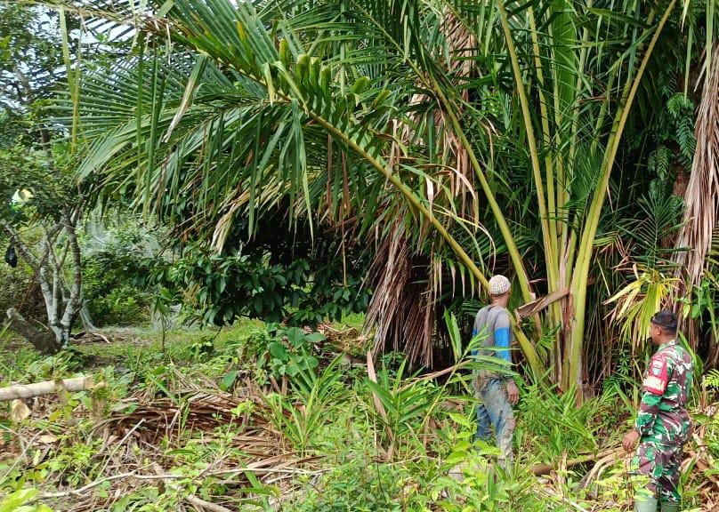 Babinsa Koramil 06/Merbau Susuri Lahan Gambut di Desa Pelantai, Pastikan Wilayah Bebas Karhutla