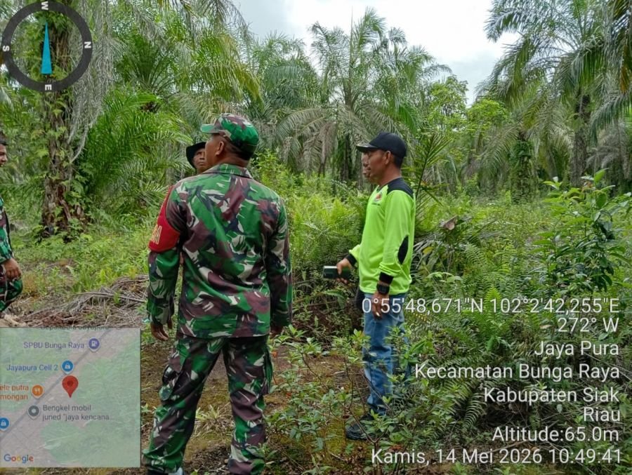 Babinsa Koramil 06/PWK Sabak Auh Intensifkan Patroli Karhutla, Jayapura Nihil Titik Api