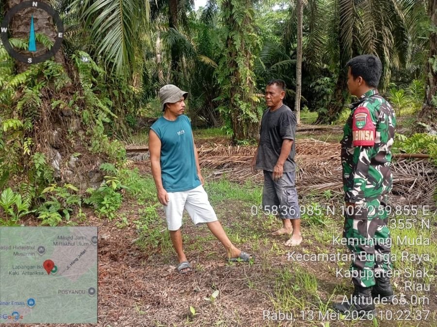 Babinsa Koramil 06/PWK Sabak Auh Intensifkan Patroli Karhutla, Kemuning Muda Nihil Titik Api