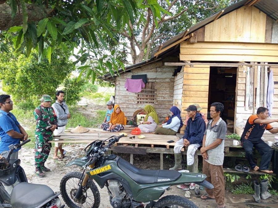 Babinsa Koramil 06/Serasan Dampingi Petani Kelapa, Dorong Produktivitas dan Ketahanan Pangan