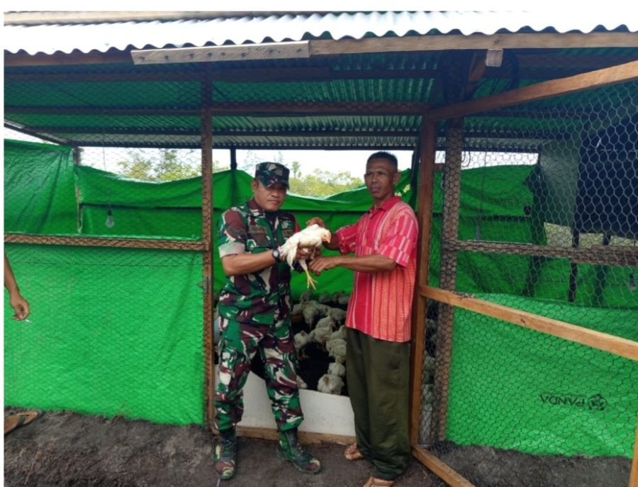 Babinsa Serasan Tinjau Peternakan BUMDes Perkuat Ketahanan Pangan