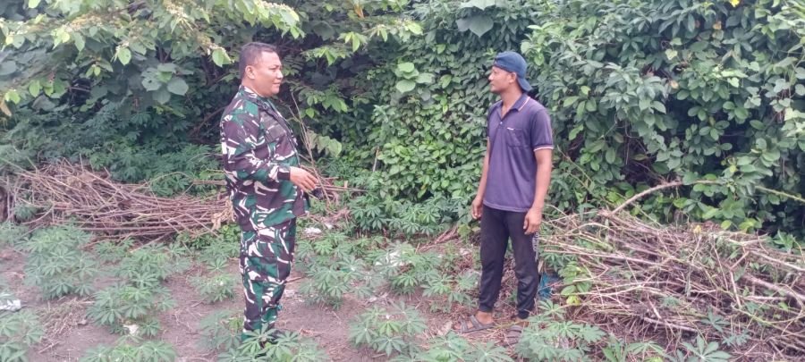 Babinsa Koramil 06/Sukajadi Ajak Pemuda Sulap Lahan Kosong Jadi Kebun Pangan Keluarga