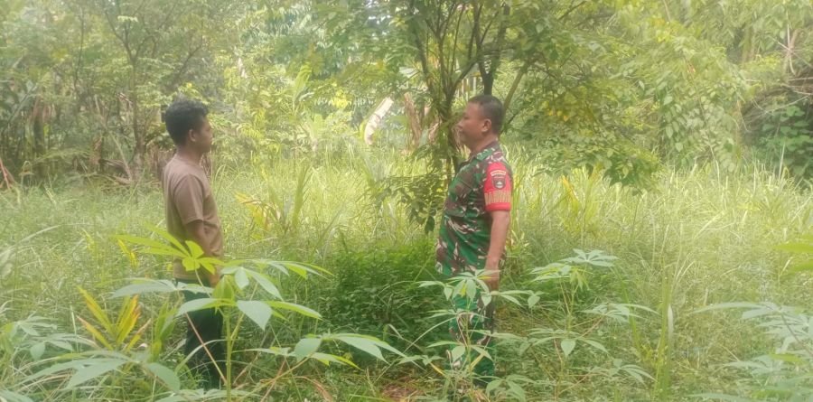 Babinsa Koramil 06/Sukajadi Ajak Warga Tuah Karya Cegah Karhutla
