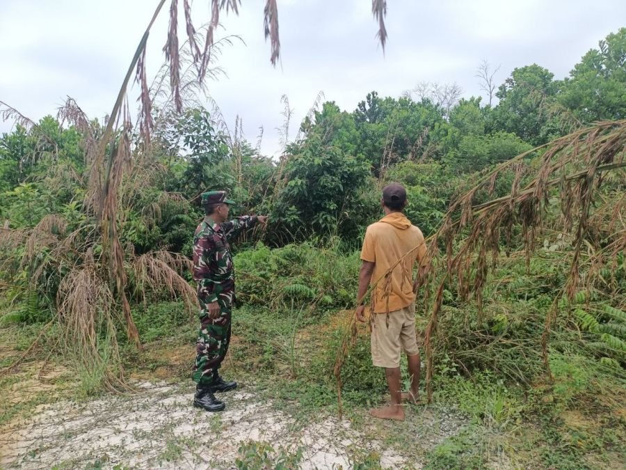 Babinsa Koramil 06/Sukajadi Isi Akhir Pekan dengan Patroli Karhutla dan Silaturahmi Warga