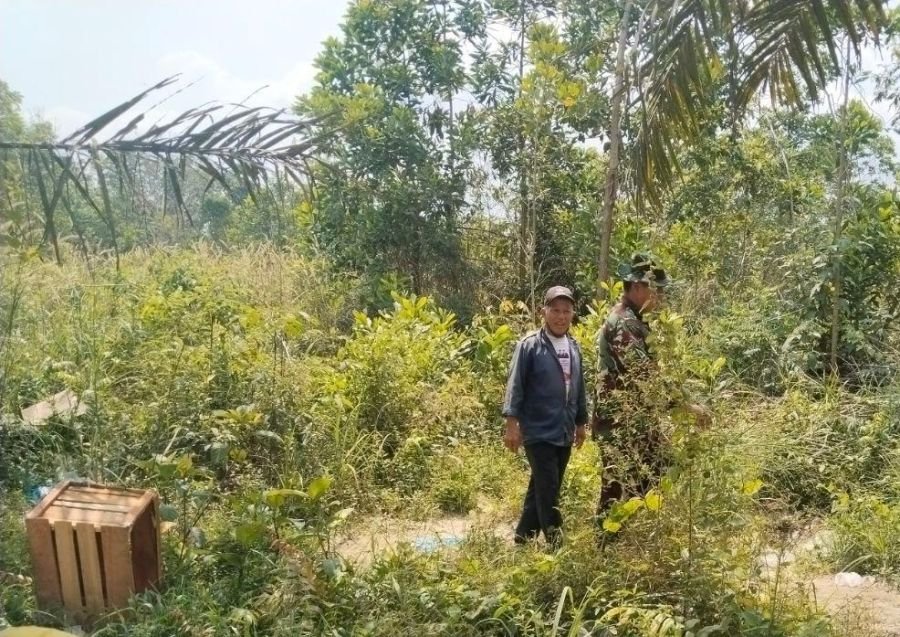 Babinsa Koramil 06/Sukajadi Tingkatkan Deteksi Dini Karhutla di Simpang Baru