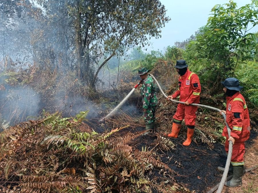 Babinsa Koramil 07/Kampar dan Tim Terpadu Karhutlah Lakukan Pendinginan Lokasi Lahan Desa Rimbo Panj