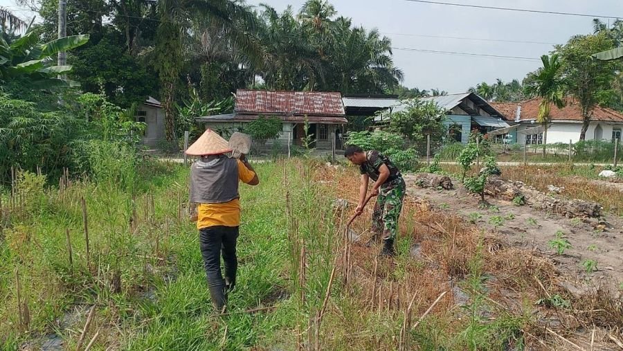 Babinsa Koramil 07/KH Terjun ke Lahan, Dukung Ketahanan Pangan