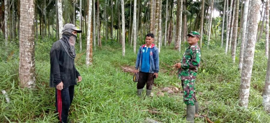 Babinsa Koramil 07/Reteh Gencarkan Patroli Tapal Batas Cegah Karhutla di Kelurahan Benteng