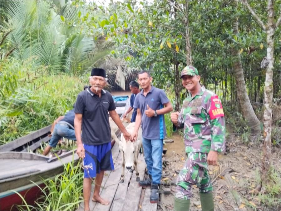 Babinsa Koramil 07/Reteh Kawal Persiapan Kurban, Warga Seberang Sanglar Kompak