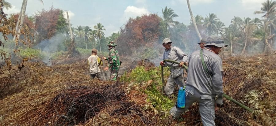 Babinsa Koramil 07/Reteh Padamkan Karhutla 5 Ha, Tinggal Titik Asap 0,5 Ha di Desa Sanglar