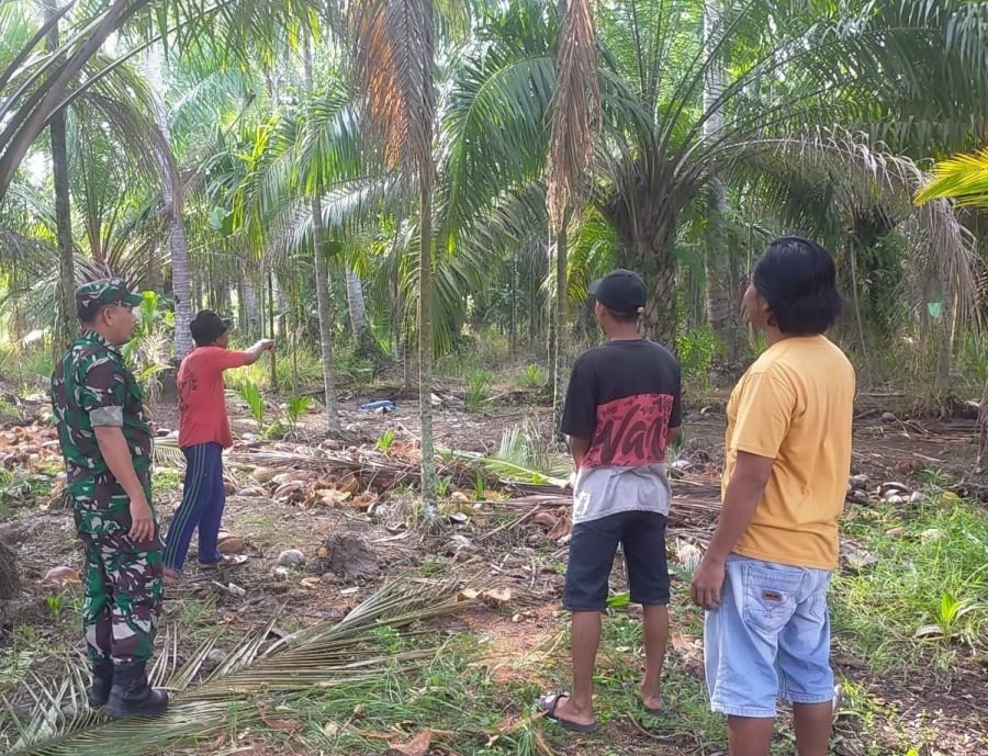 Babinsa Koramil 07/Reteh: Sertu Bendri Pastikan Tapal Batas Aman dari Karhutla