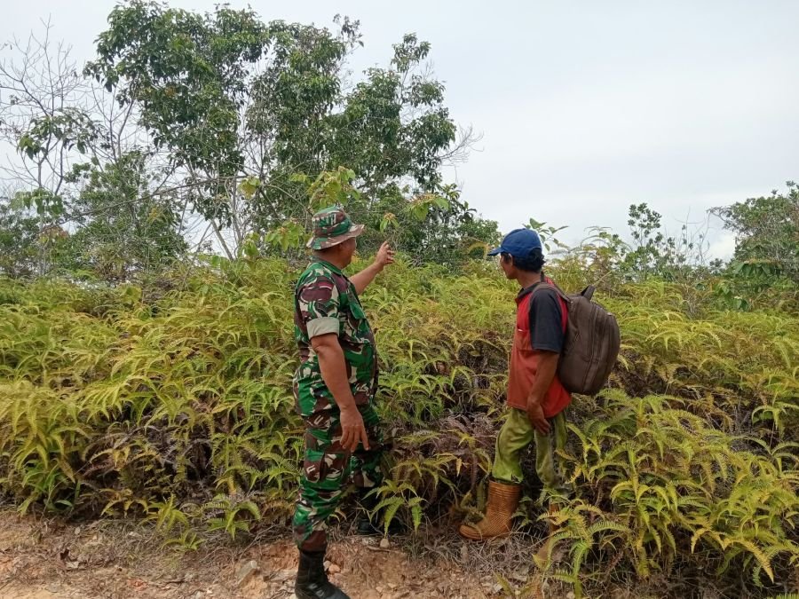Babinsa Koramil 07/Tenayan Raya Aktif Cegah Karhutla Melalui Patroli dan Sosialisasi