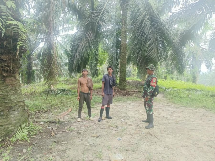 Babinsa Koramil 07/Tenayan Raya Bersama MPA Sisir Wilayah Rawan Karhutla, Pastikan Kondisi Tetap Ama