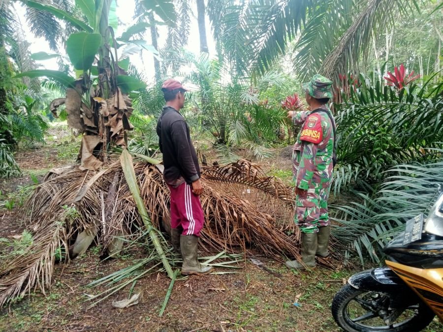 Babinsa Koramil 07/Tenayan Raya Bersama MPA Tingkatkan Kewaspadaan Karhutla