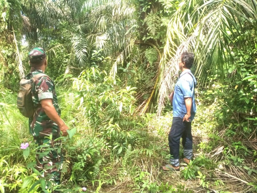 Babinsa Koramil 07/Tenayan Raya Gencarkan Patroli dan Sosialisasi Pencegahan Karhutla