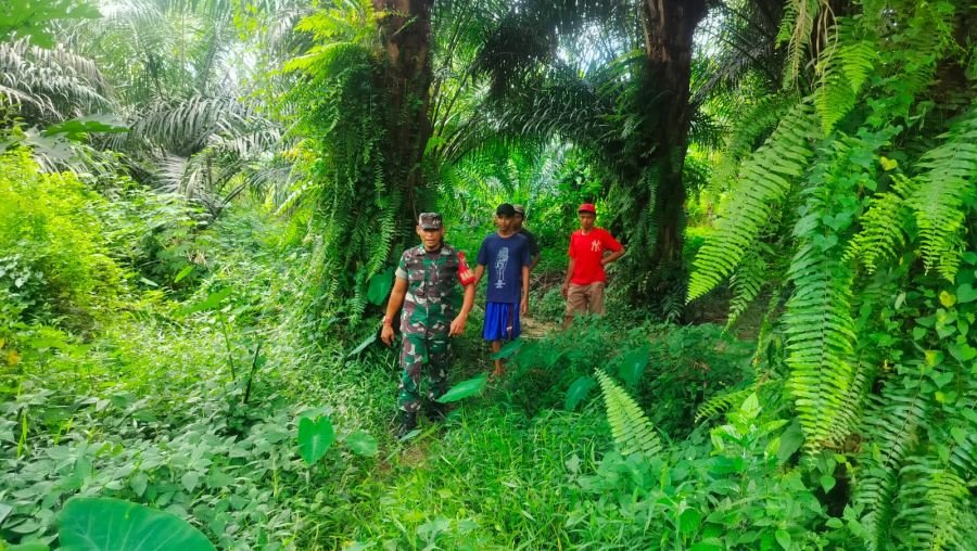 Babinsa Koramil 07/Tenayan Raya Gencarkan Patroli dan Sosialisasi Cegah Karhutla