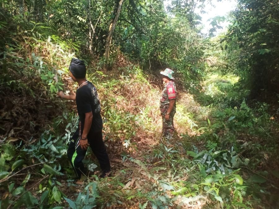 Babinsa Koramil 07/Tenayan Raya Intensifkan Patroli dan Sosialisasi Cegah Karhutla di Tuah Negeri
