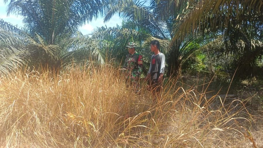 Babinsa Koramil 07/Tenayan Raya Intensifkan Patroli Karhutla, Wilayah Tetap Zero Hotspot