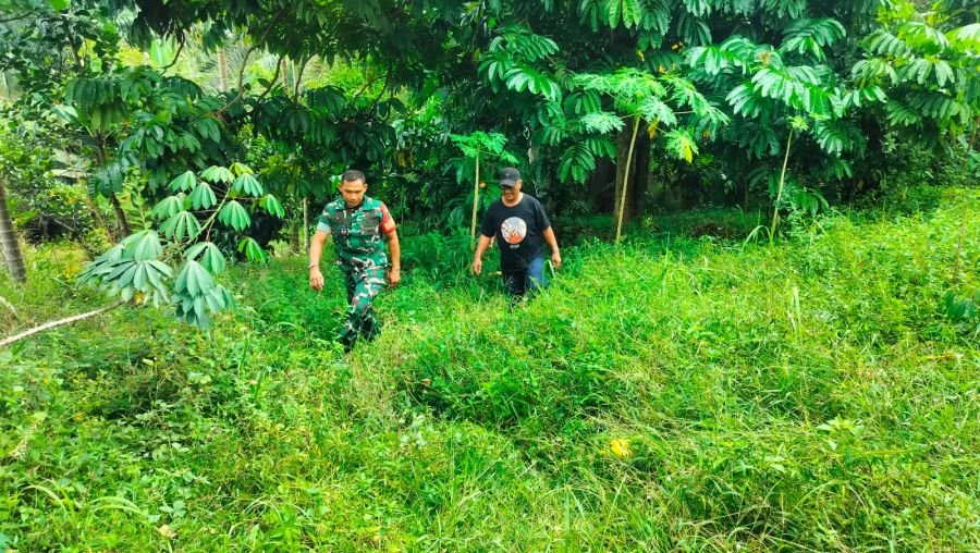 Babinsa Koramil 07/Tenayan Raya Intensifkan Patroli dan Sosialisasi Pencegahan Karhutla