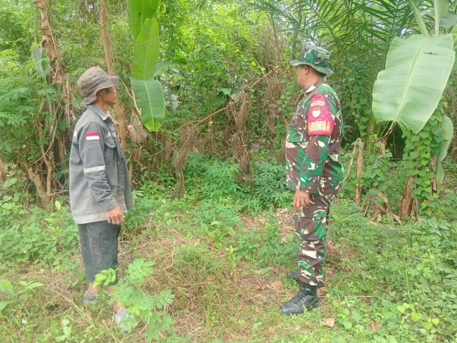 Babinsa Koramil 07/Tenayan Raya Intensifkan Patroli dan Sosialisasi Cegah Karhutla di Rejosari