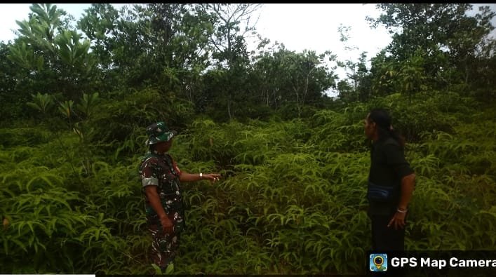 Babinsa Koramil 07/Tenayan Raya Intensifkan Patroli dan Sosialisasi Cegah Karhutla di Tuah Negeri