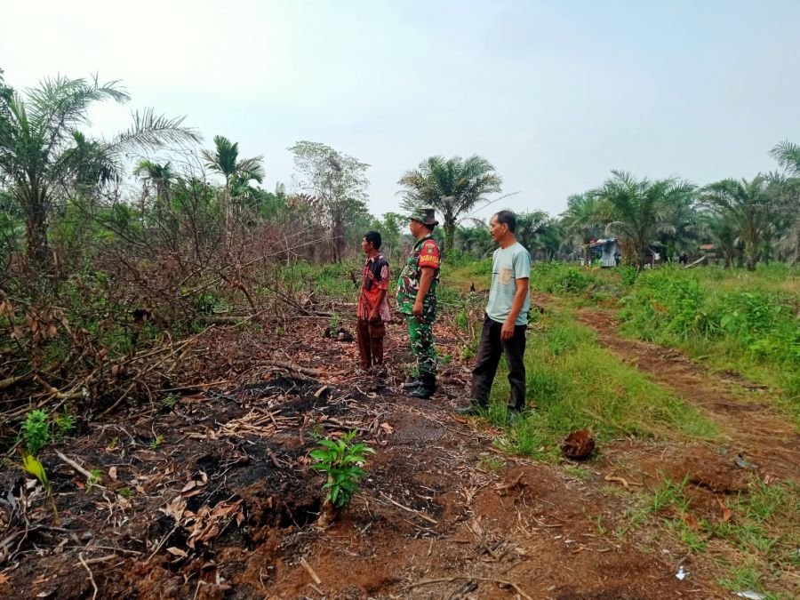 Babinsa Koramil 07/Tenayan Raya Patroli dan Sosialisasi Cegah Karhutla