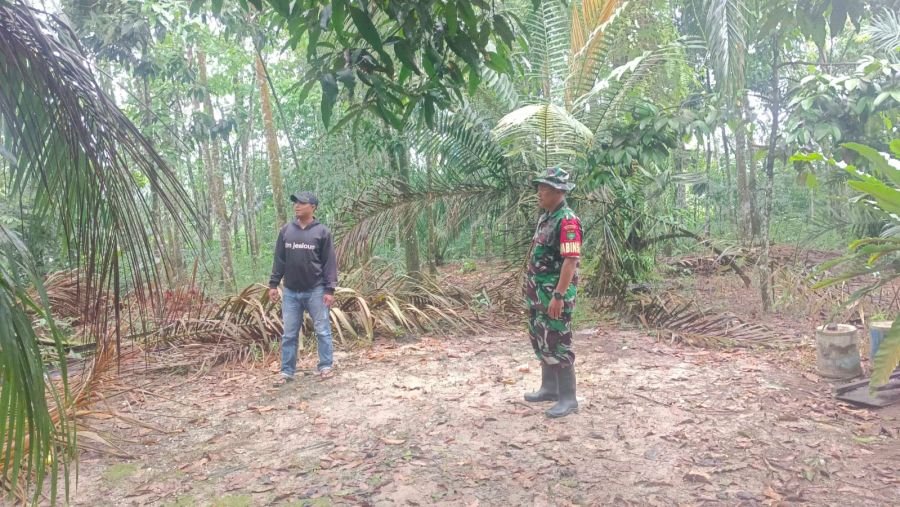 Babinsa Koramil 07/Tenayan Raya Patroli dan Sosialisasi Cegah Karhutla
