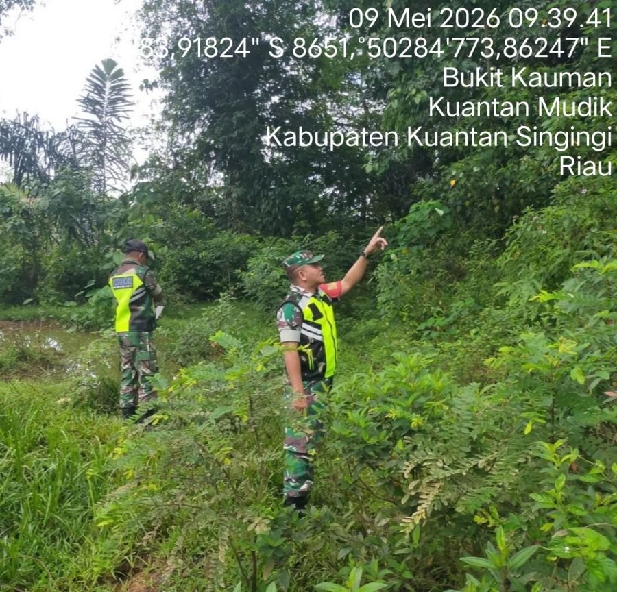 Babinsa Koramil 08/KM Gelar Patroli Cegah Karhutla di Desa Bukit Kauman