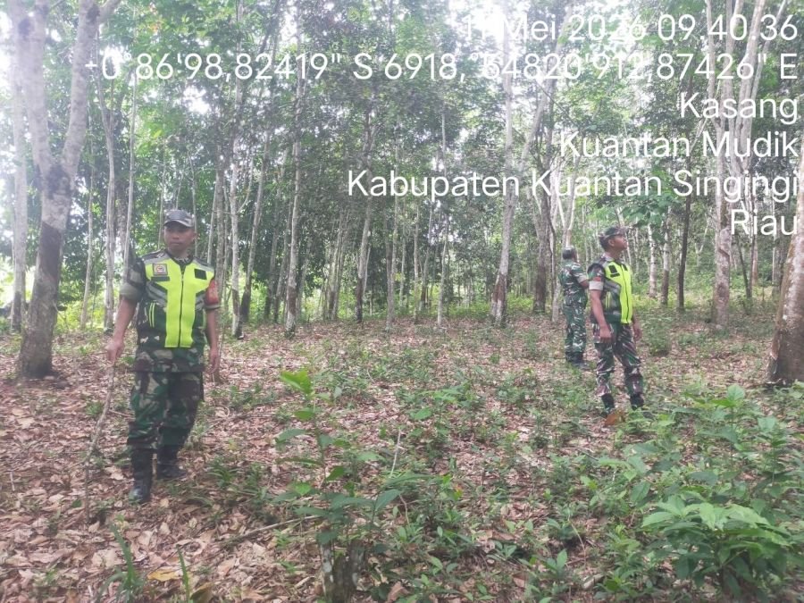 Babinsa Koramil 08/KM Intensifkan Patroli Cegah Karhutla di Desa Kasang