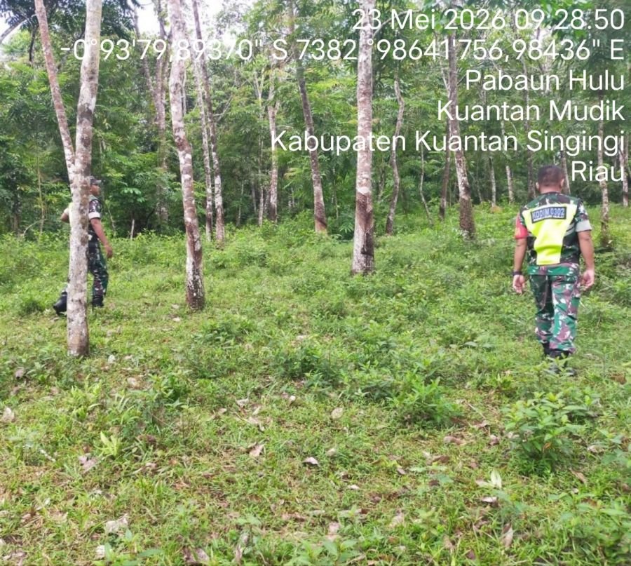 Babinsa Koramil 08/KM Intensifkan Patroli Cegah Karhutla di Desa Pabaun Hulu