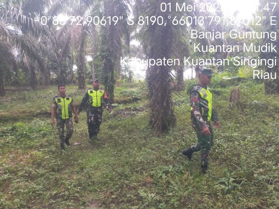 Babinsa Koramil 08/KM Intensifkan Patroli Cegah Karhutla di Kuantan Mudik