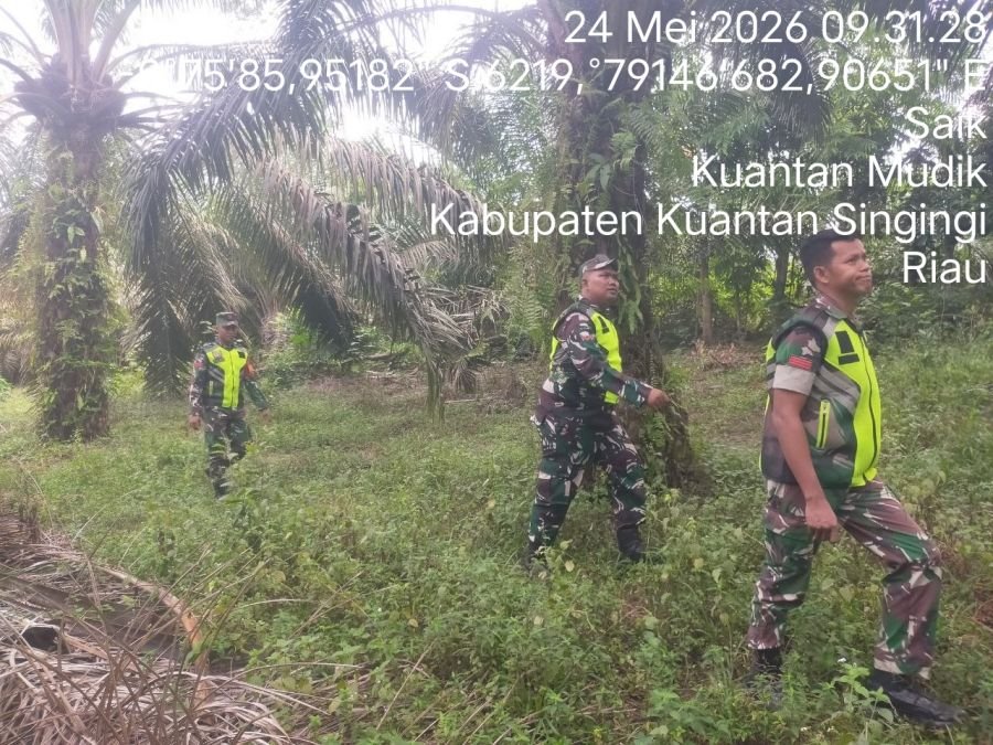 Babinsa Koramil 08/KM Patroli Cegah Karhutla di Desa Saik