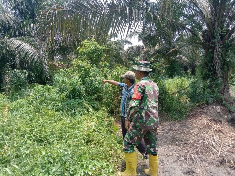 Babinsa Koramil 08/RB Gencarkan Patroli Karhutla di Kelurahan Agrowisata