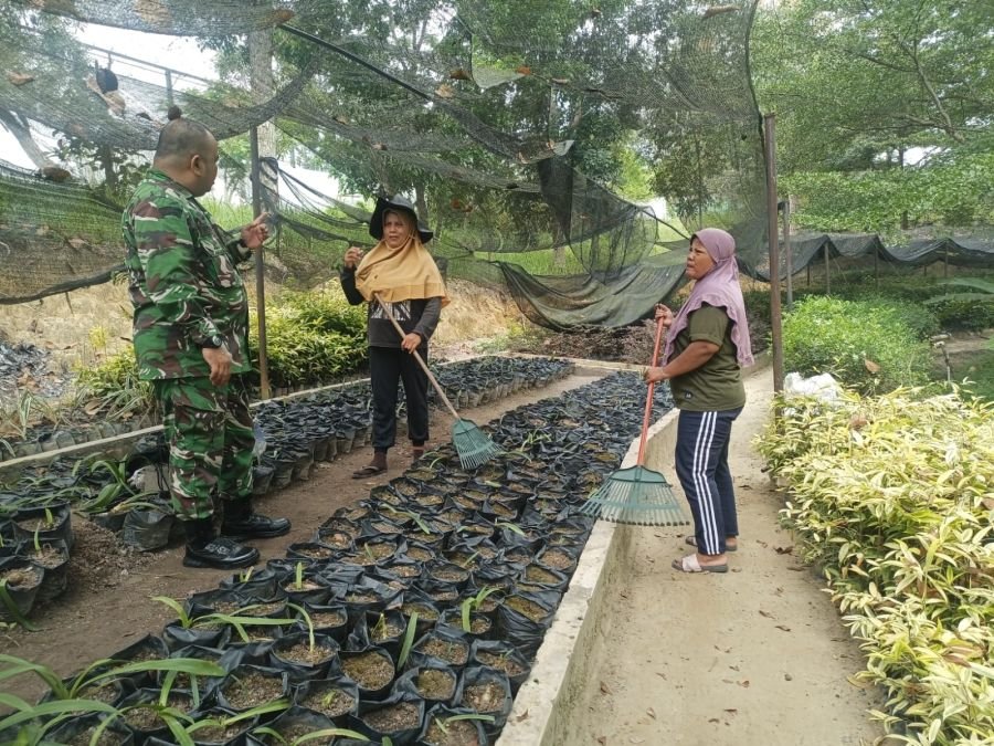 Babinsa Koramil 08/Rumbai Barat Dampingi Warga Rawat Bibit Tanaman di Persemaian