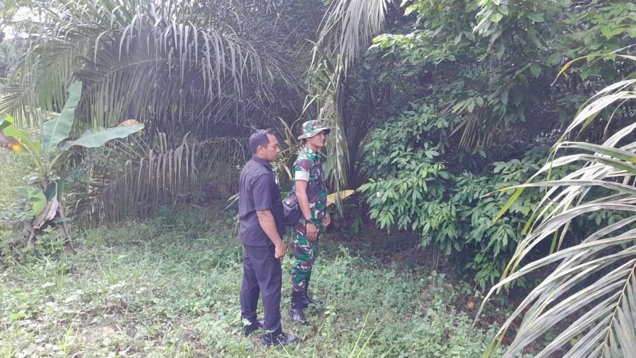 Babinsa Koramil 08/Rumbai Barat Intensifkan Patroli Karhutla, Wilayah Tetap Aman