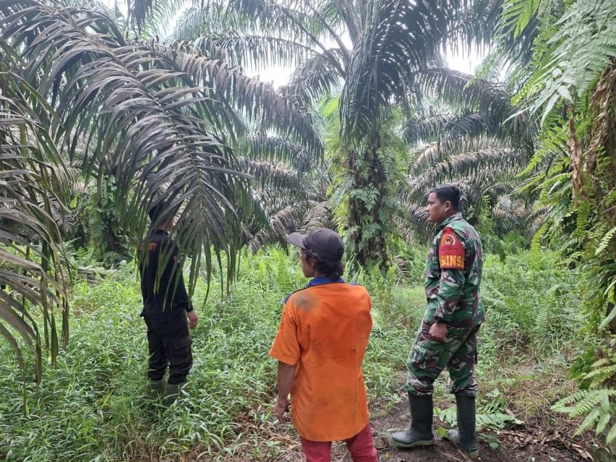 Babinsa Koramil 08/Tdn Turun ke Desa Bencah Kesuma, Edukasi Warga Terkait Bahaya Karlahut