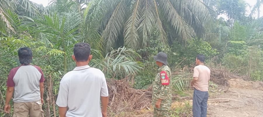 Babinsa Koramil 09/Kemuning Patroli Tapal Batas dan Sosialisasi Karhutla di Keritang Hulu
