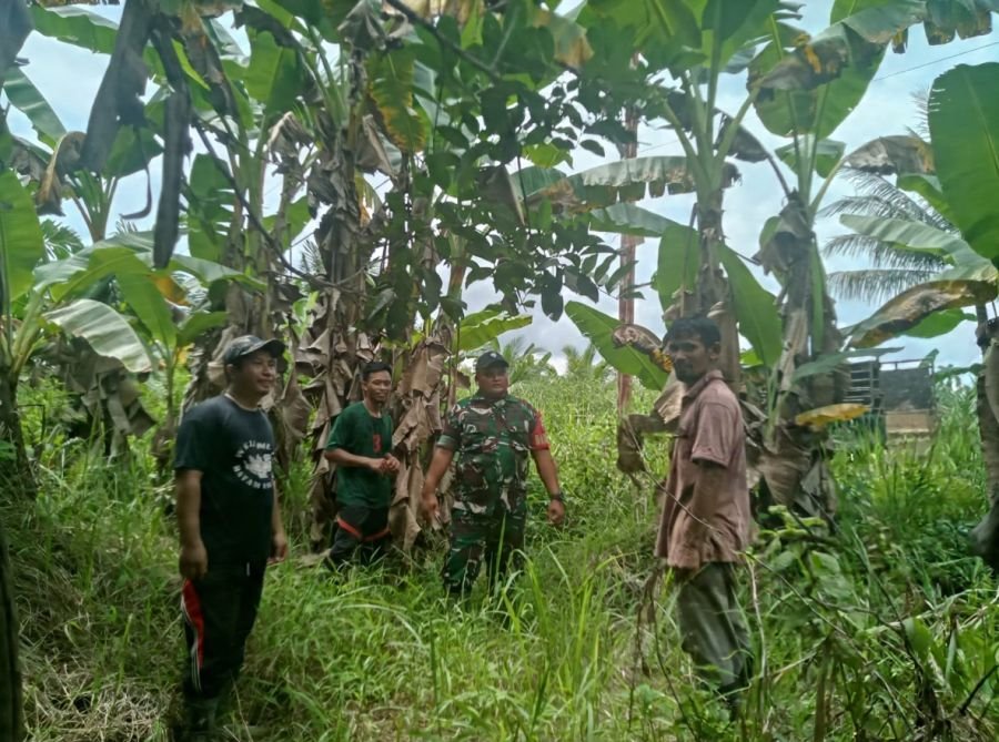 Babinsa Koramil 09/Kemuning Patroli Karhutla di Desa Petalongan, Hasil Nihil Titik Api