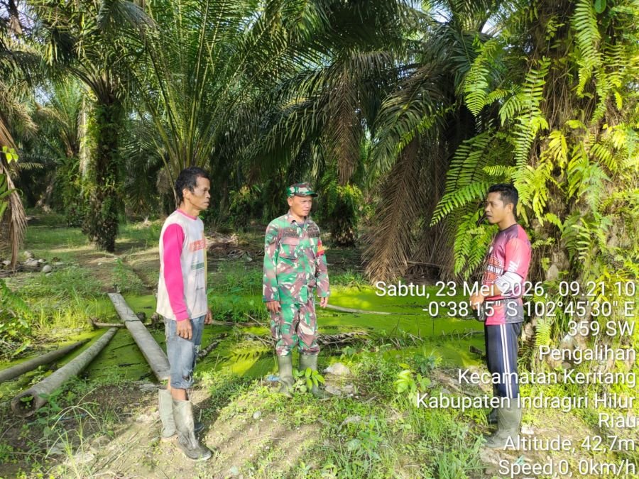 Babinsa Koramil 09/Kemuning Serda Darmadi Sisir Rawan Karhutla, Titik Api Nihil