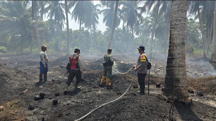 Babinsa Koramil 10/Pelangiran : Api Padam, Asap Masih Melebar di Lahan Gambut Saka Palas Jaya